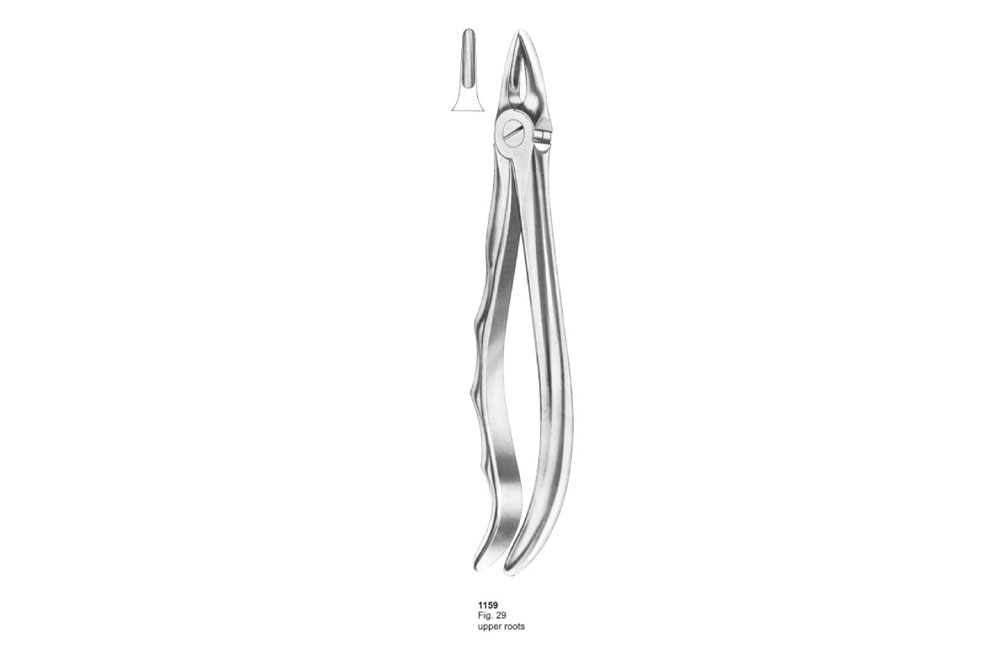 Extracting Forceps